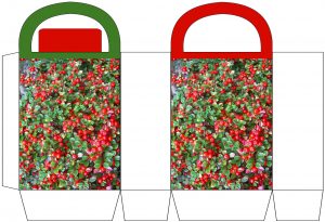 Red Berries Party Bag