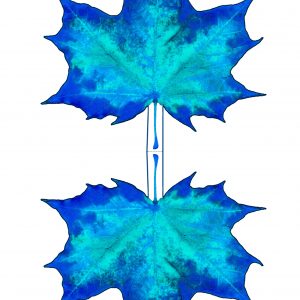 Pritable blue paper maple leaf