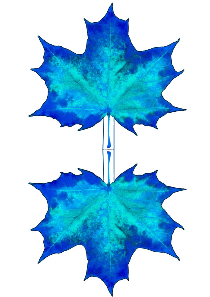 Blue Maple Leaf Decoration | Rooftop Post Printables