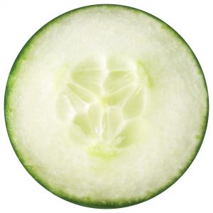 Printable cucumber slice for making summer party garlands.