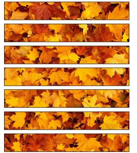 Printable paper chain strips of golden autumn leaves