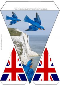 Bunting for VE Day with a decorative picture of bluebirds ove the White Cliffs of Dover