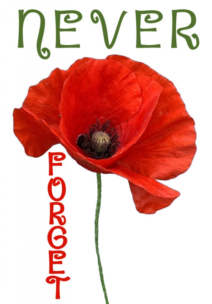 Printable Poster Never Forget Remembrance Poppy Rooftop Post Printables